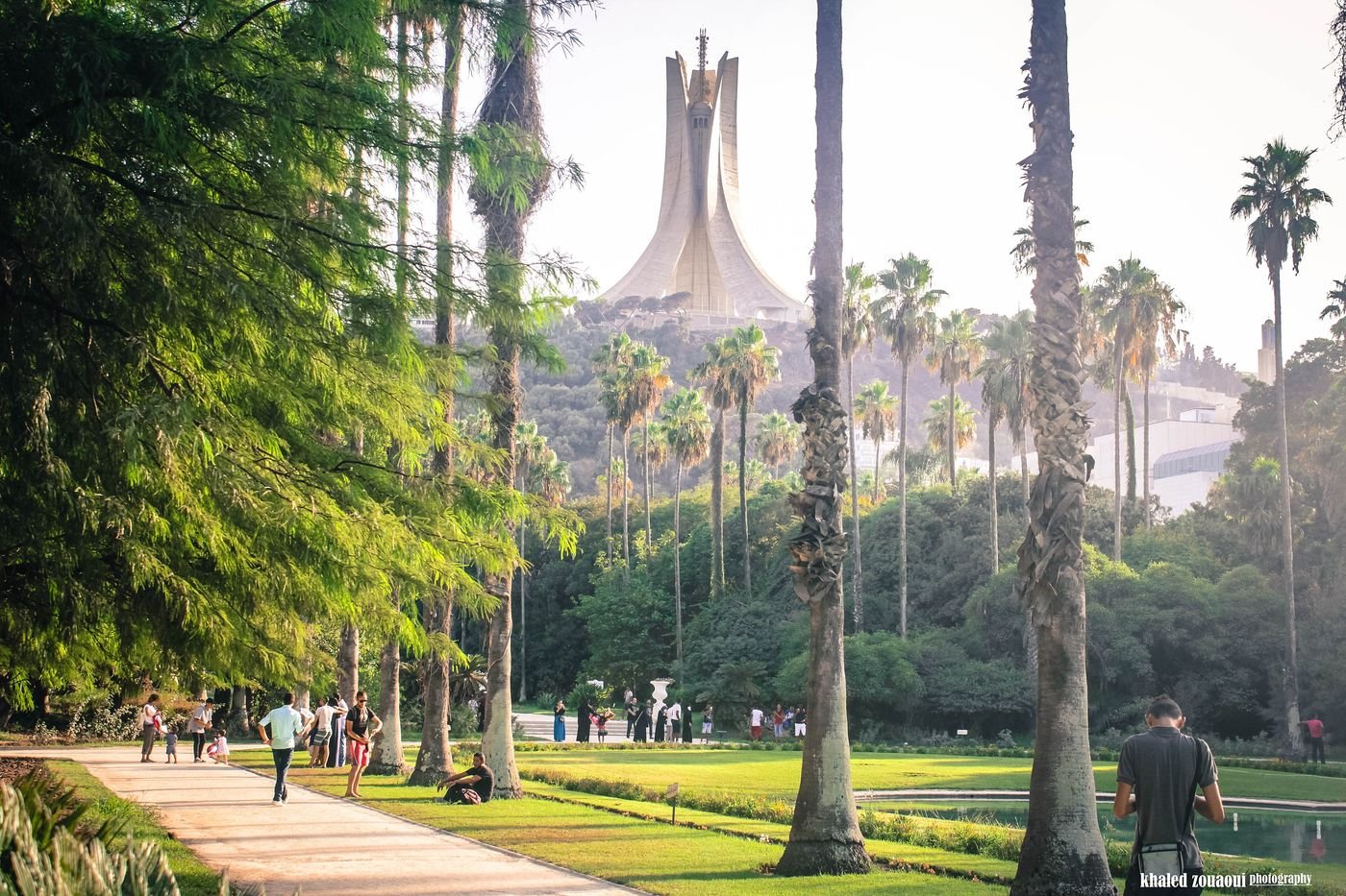 الجزائر سٹی