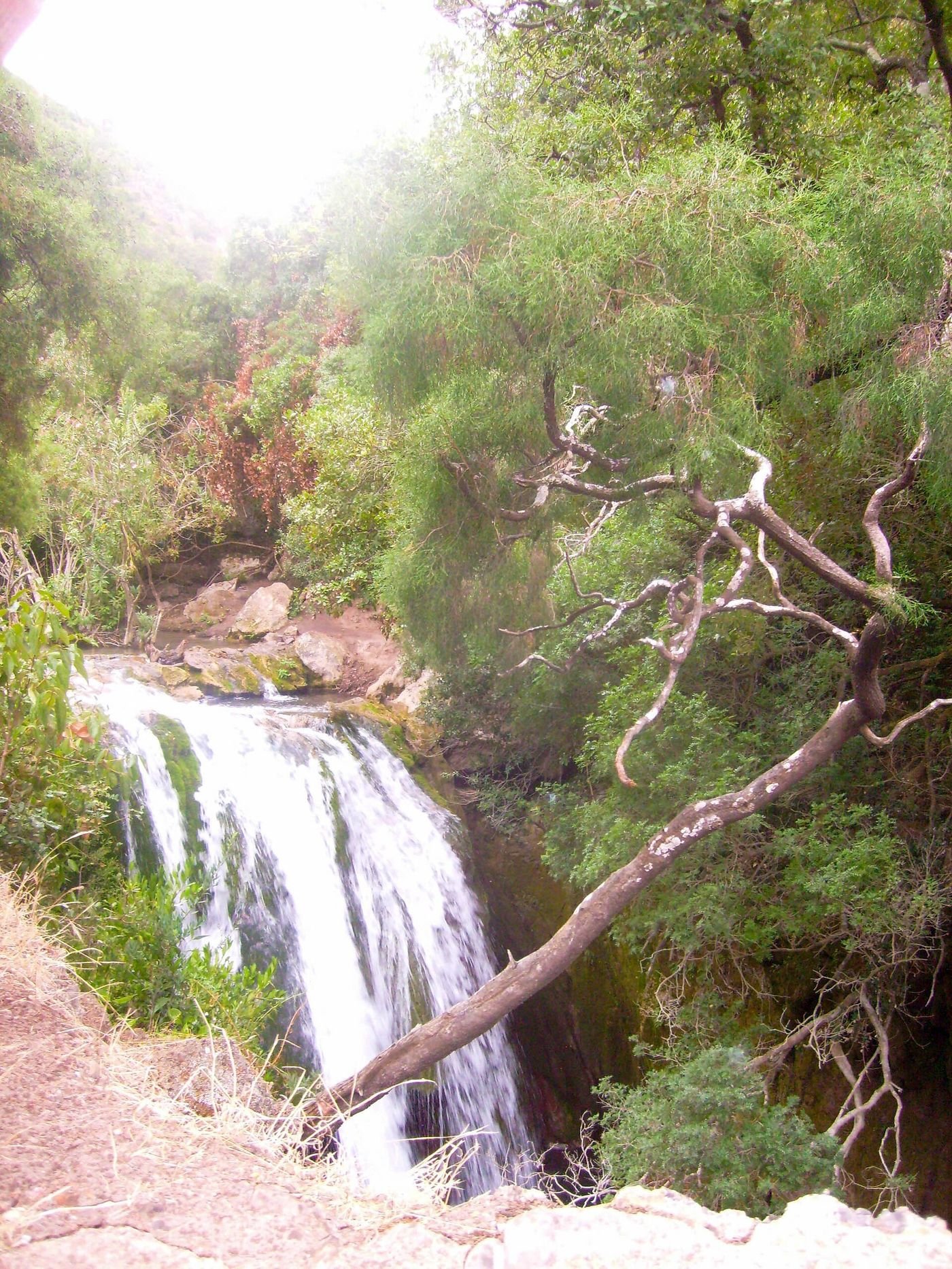 Akchour Waterfalls