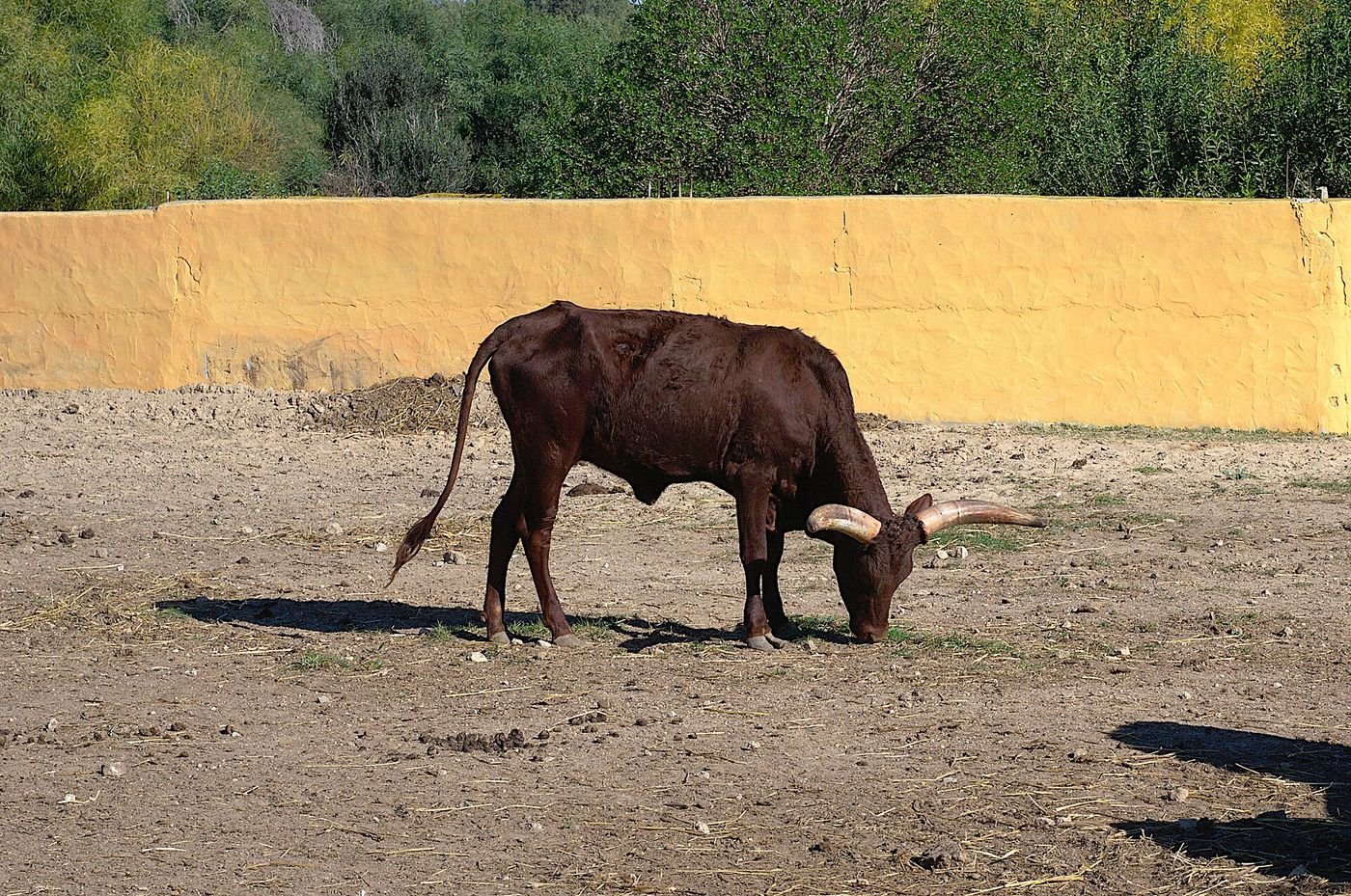 Taman Safari Friguia