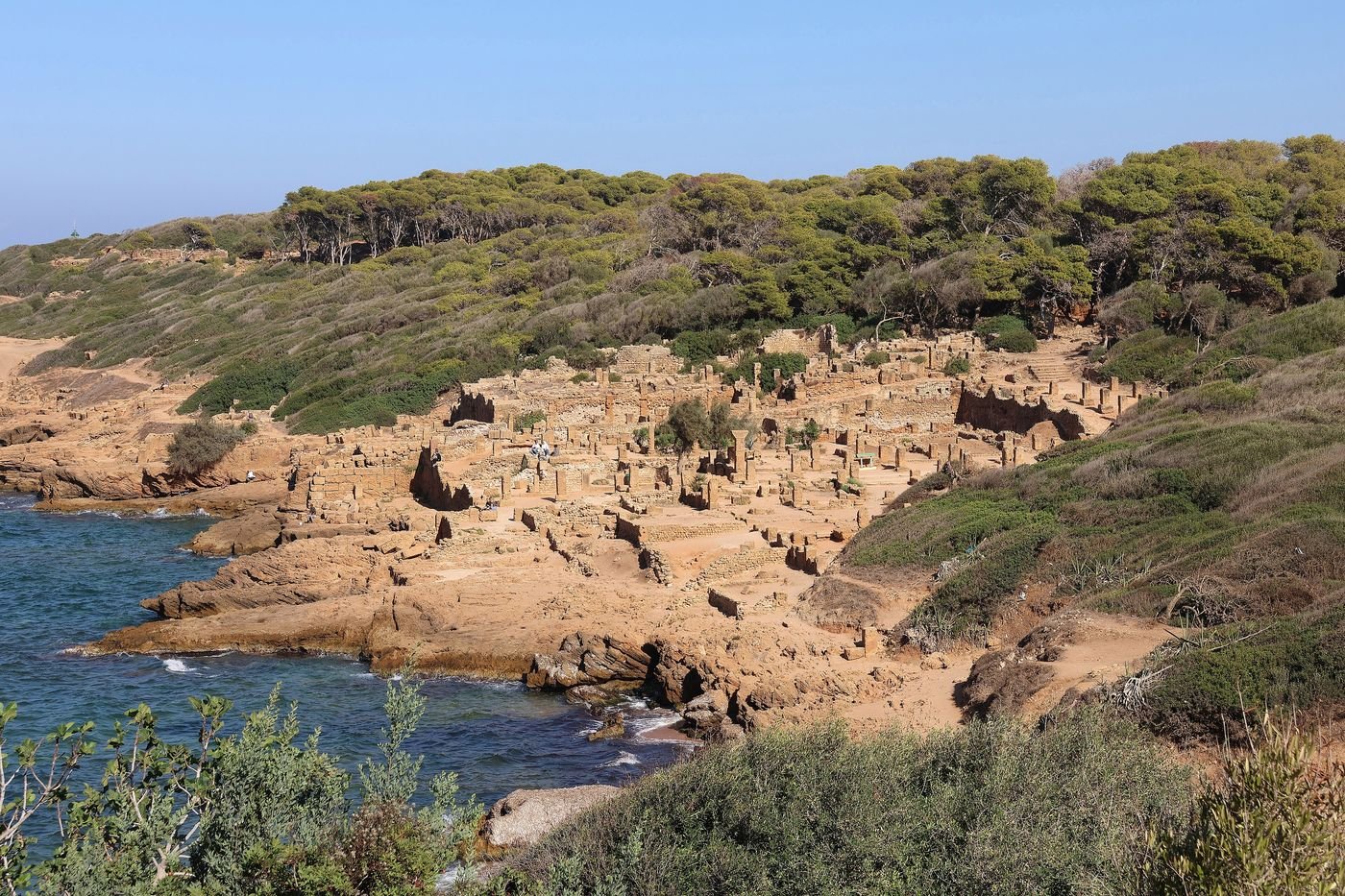 Tipaza