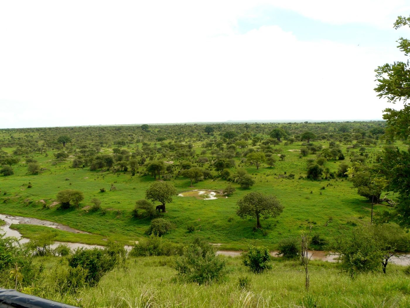 Taman Nasional Tarangire