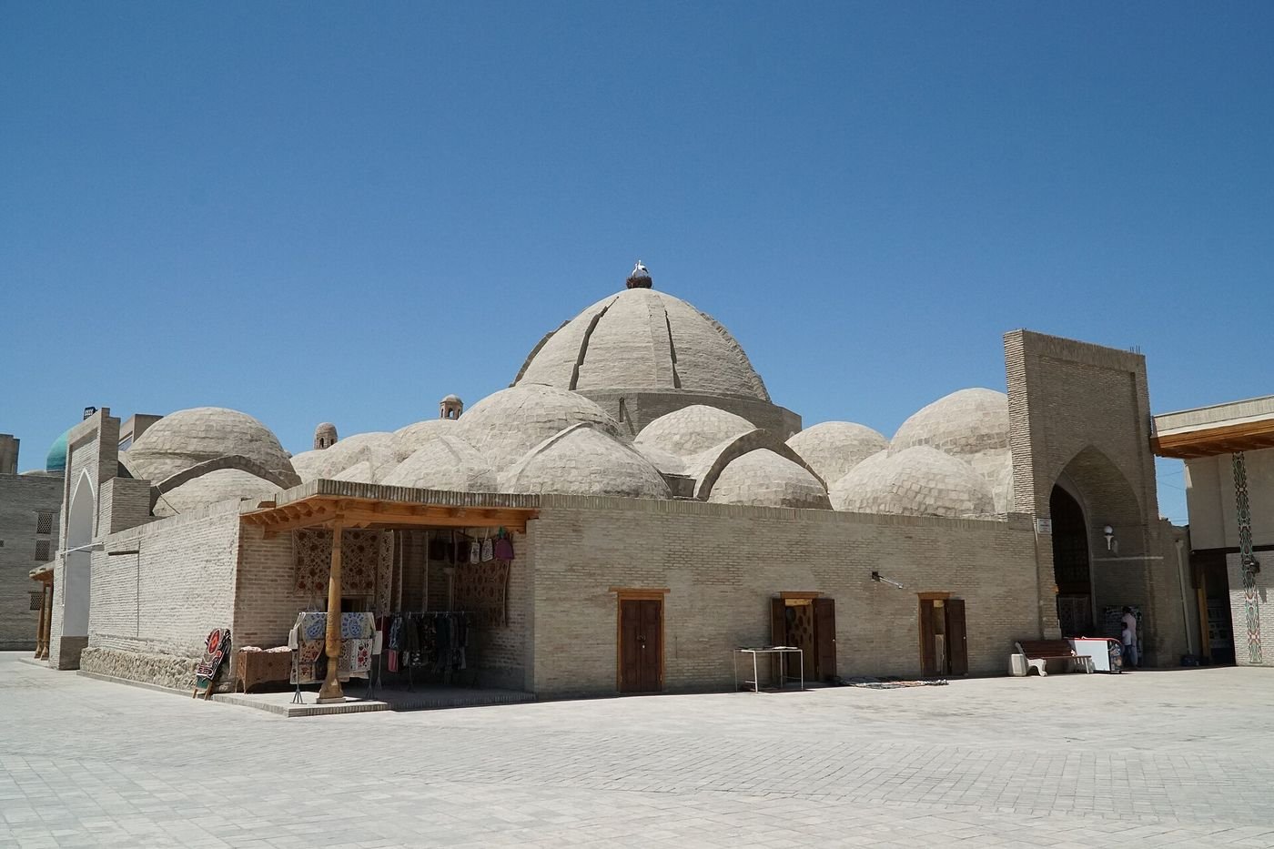 The Trading Domes